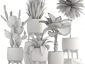collection of plants 3D Model