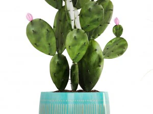collection of plants 3D Model