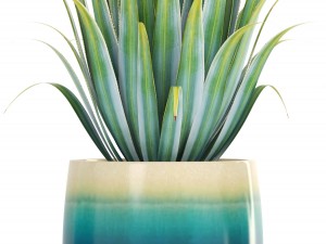 collection of plants 3Dモデル