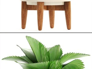 collection of plants 3D Model