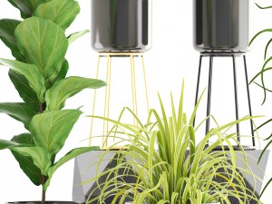 collection of plants 3D Model