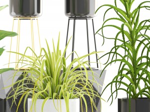 collection of plants 3D Model