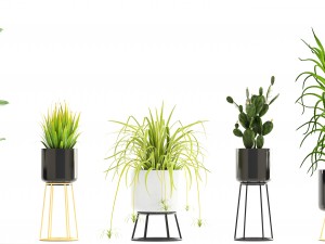 collection of plants 3D Model