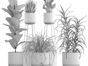 collection of plants 3D Model