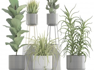 collection of plants 3D Model
