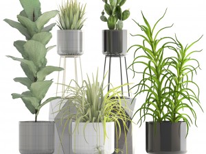 collection of plants 3D Model