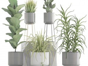 collection of plants 3D Model