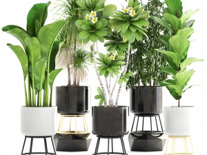 collection of plants 3D Model