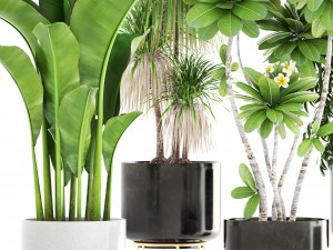collection of plants 3D 모델