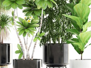 collection of plants 3D 모델