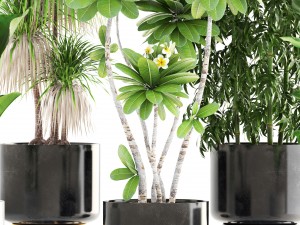 collection of plants 3D 모델