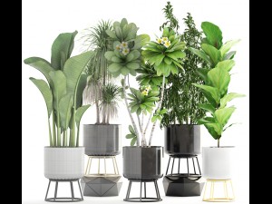 collection of plants 3D 모델