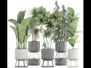 collection of plants 3D 모델