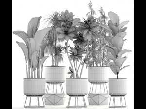 collection of plants 3D 모델