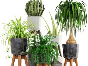 collection of plants 3D Model