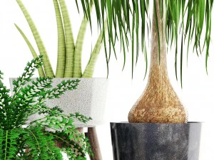 collection of plants 3D Model