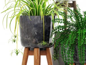 collection of plants 3D Model