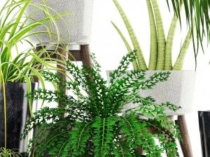 collection of plants 3D Model