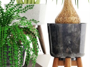 collection of plants 3D 模型