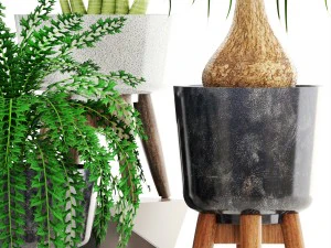 collection of plants 3D Model