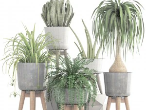 collection of plants 3D Model
