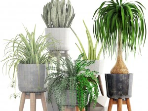collection of plants 3D Model