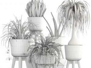 collection of plants 3D 模型