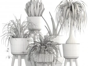 collection of plants 3D Model