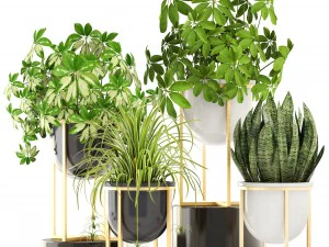 collection plants 3D Model