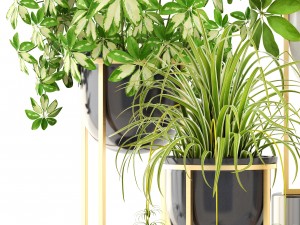 collection plants 3D-Modell
