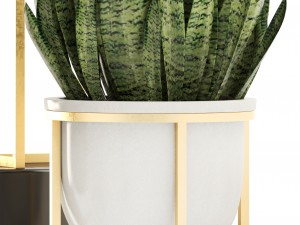 collection plants 3D-Modell