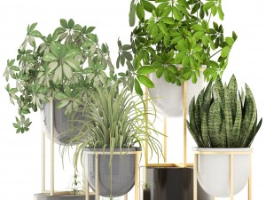 collection plants 3D-Modell