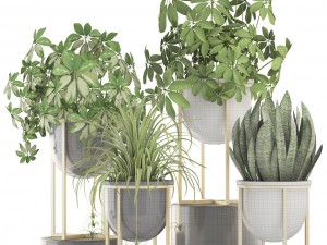 collection plants 3D-Modell