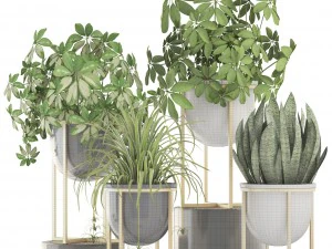 collection plants 3D Model
