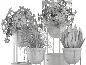 collection plants 3D-Modell
