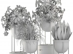 collection plants 3D Model