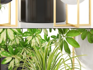 collection plants 3D-Modell