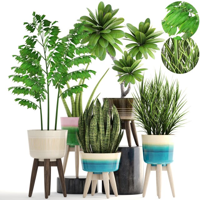 collection plants 3D मॉडल .c4d .max .obj .3ds .fbx .stl .blend