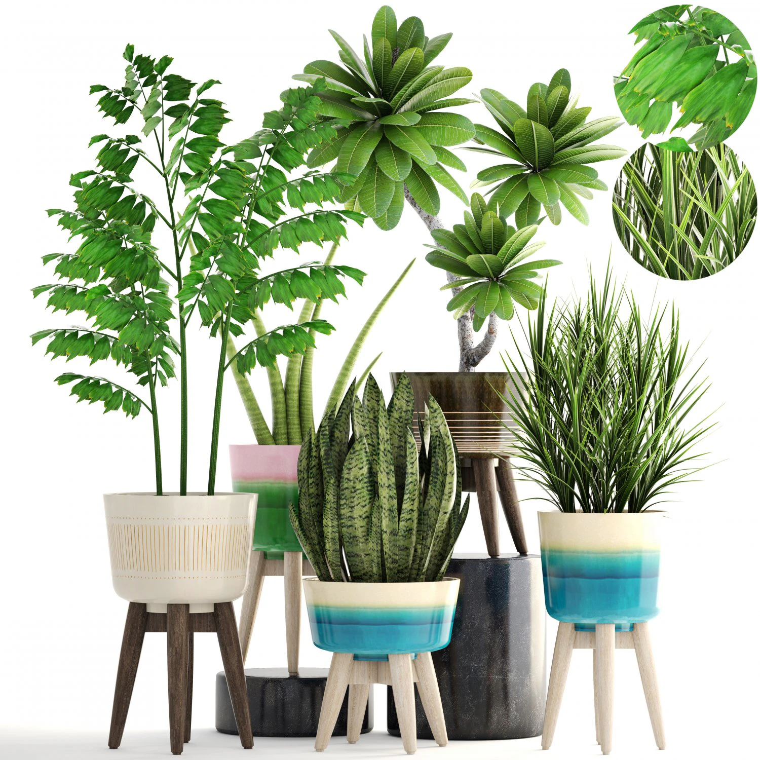 collection plants 3D Model .c4d .max .obj .3ds .fbx .stl .blend 