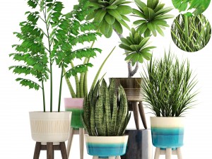 collection plants 3D Model