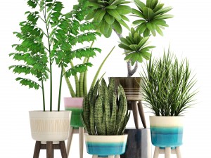 collection plants 3D मॉडल