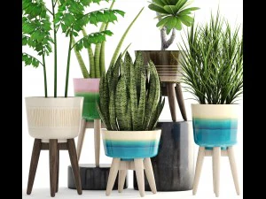 collection plants 3D Model