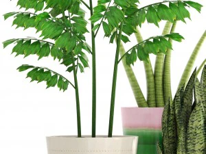 collection plants 3D Model