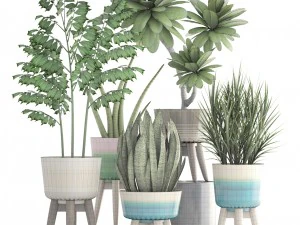 collection plants 3D Model