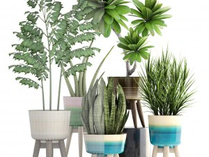 collection plants 3D Model