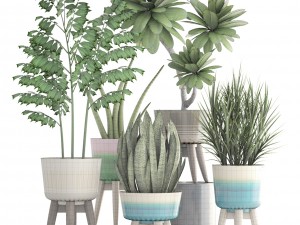 collection plants 3D मॉडल