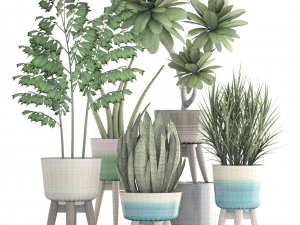 collection plants 3D Model