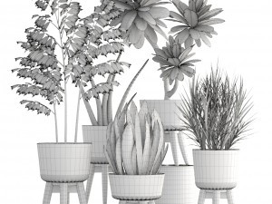collection plants 3D मॉडल