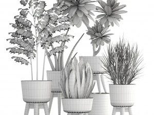 collection plants 3D Model