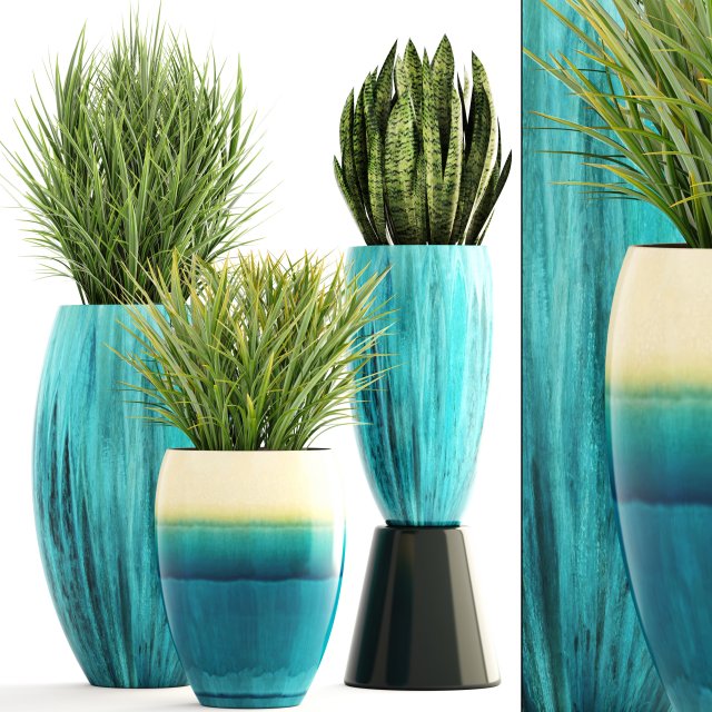 collection plants Modelo 3D .c4d .max .obj .3ds .fbx .stl .blend 